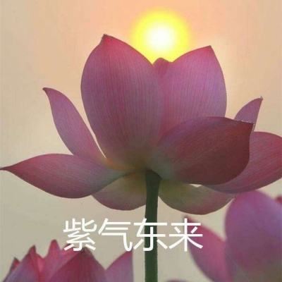 醉星官方版(暂未上线)v1.0.0 安卓版