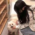 开心涂色书游戏下载